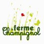 Logo champignol5 ac
